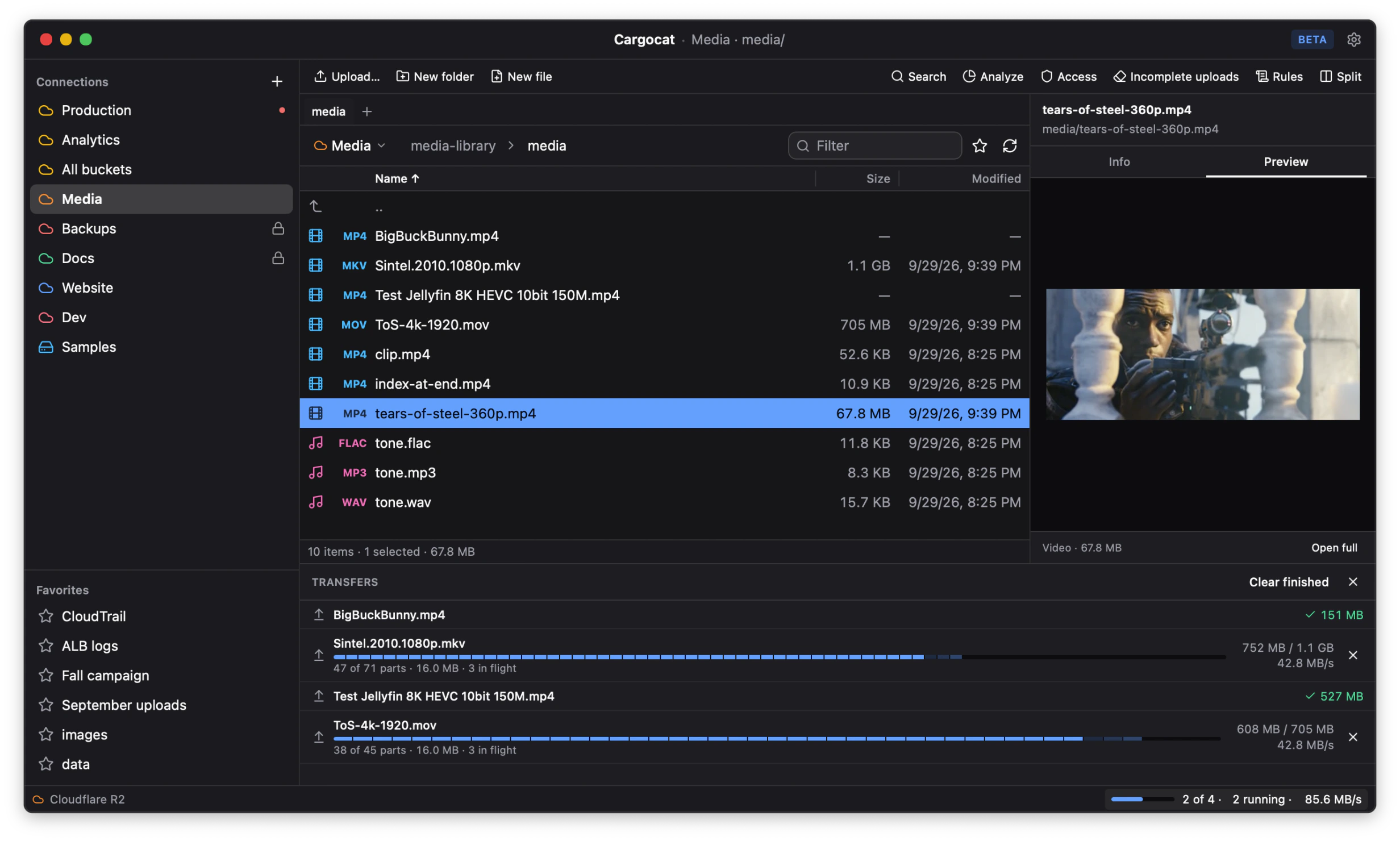 Cargocat showing completed and active multipart transfers beneath a video preview